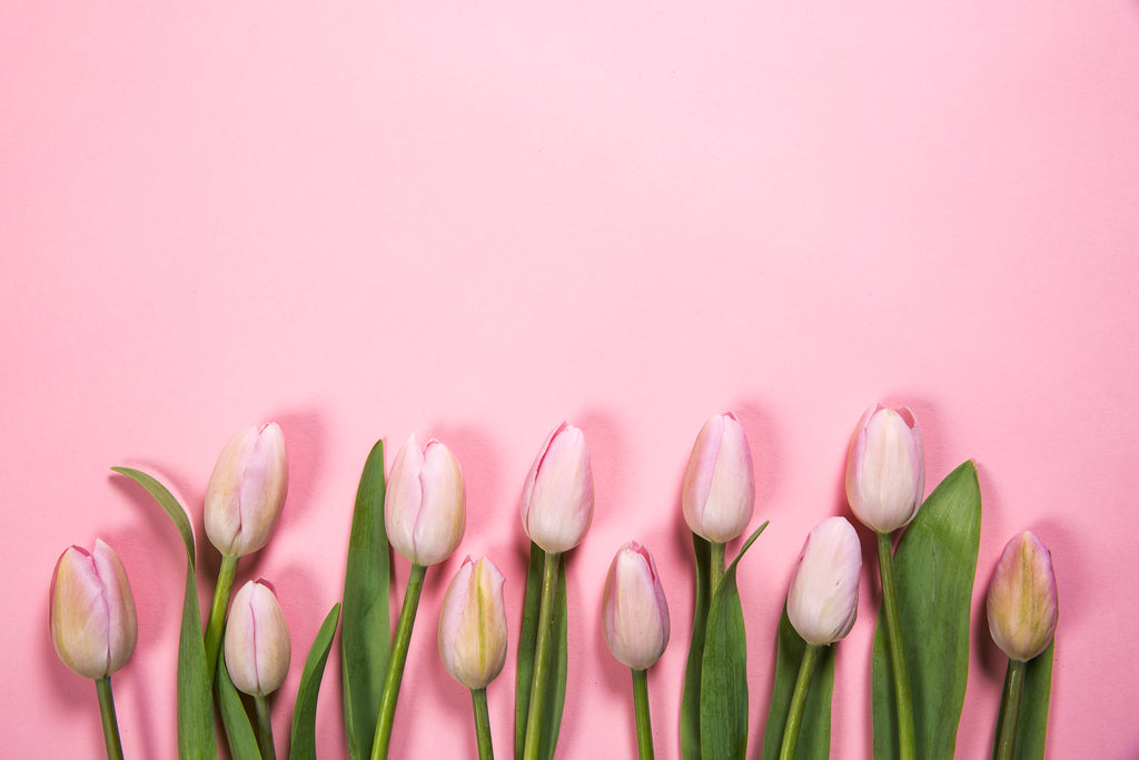 Rózaszín tulipánok